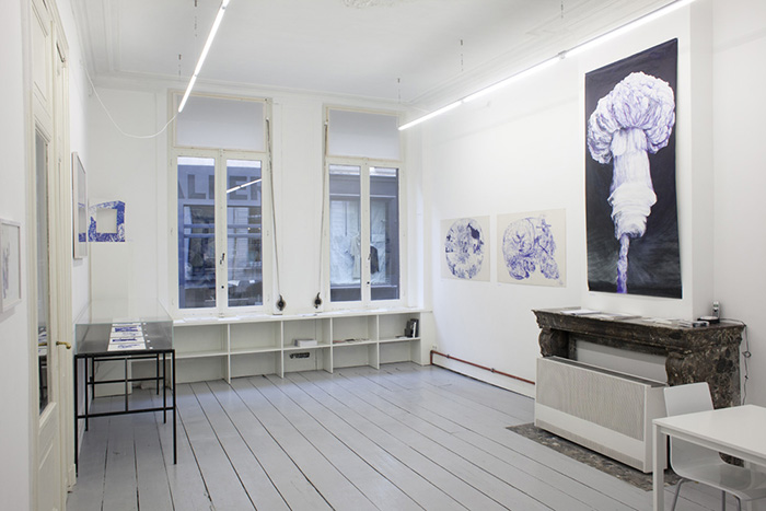 Anversville - Bile bleue - Vue d'ensemble