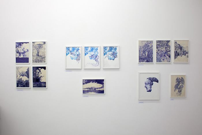 Anversville - Bile bleue - Petits formats