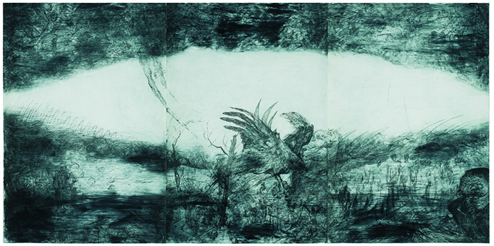 Champignon Horizontal Champignon Horizontal