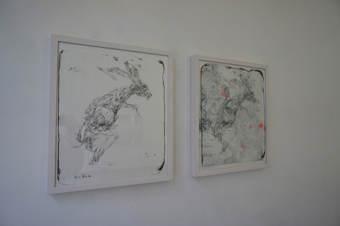 Le Crane est mo boulet - Lapins